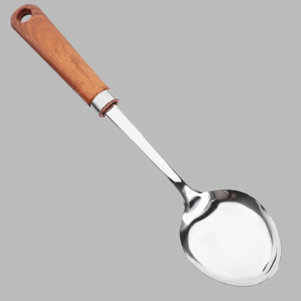 Steel Dish Serving Spoon